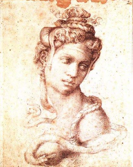 Michelangelo Buonarroti Cleopatra Sweden oil painting art